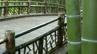 Bambus Brücke